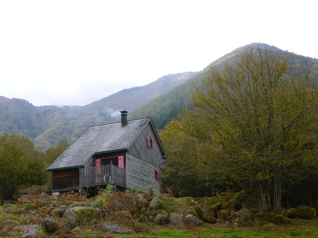 Les Chalets De La Foret D'Issaux Osse-en-Aspe Exteriér fotografie