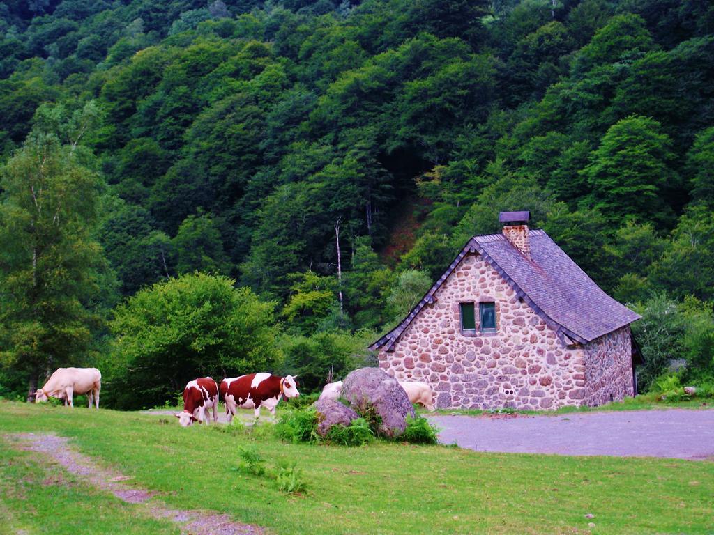 Les Chalets De La Foret D'Issaux Osse-en-Aspe Exteriér fotografie