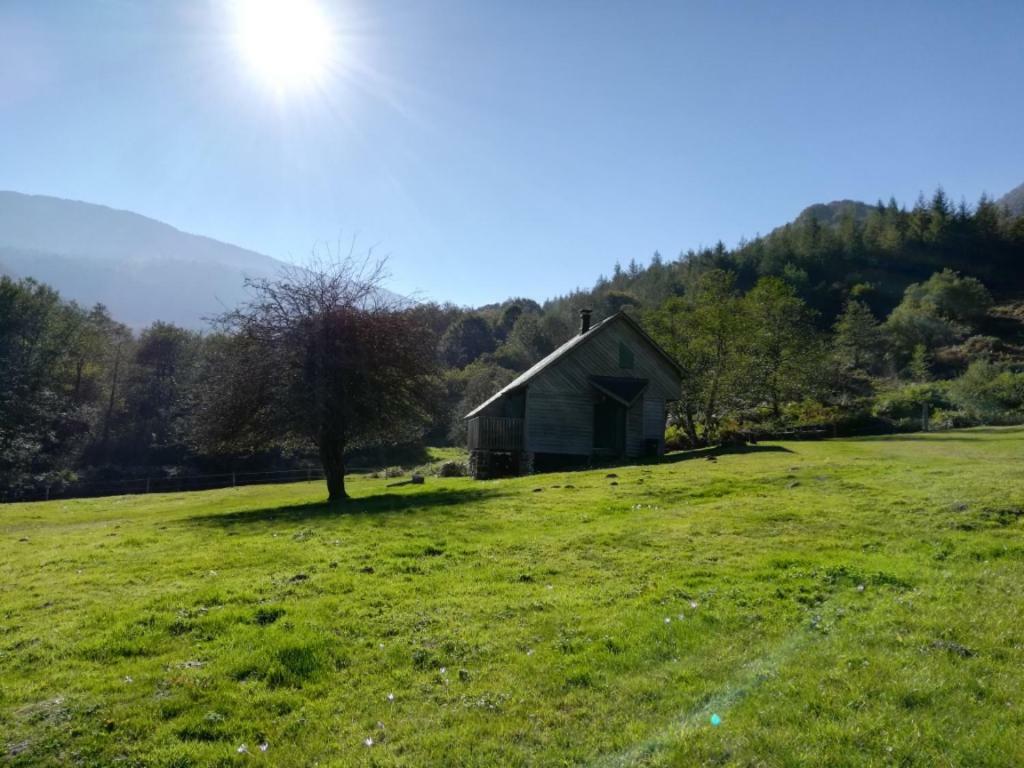 Les Chalets De La Foret D'Issaux Osse-en-Aspe Exteriér fotografie