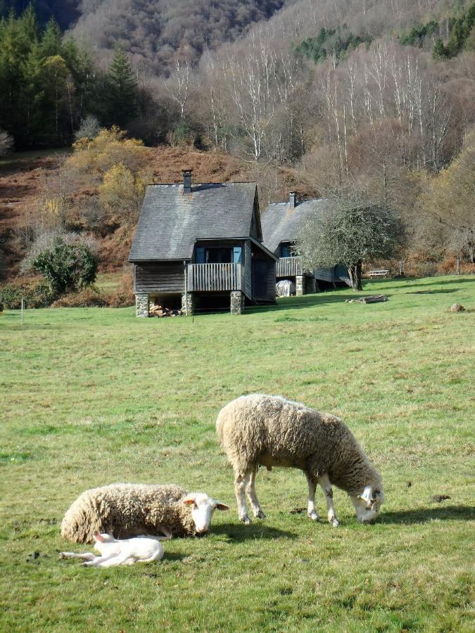 Les Chalets De La Foret D'Issaux Osse-en-Aspe Exteriér fotografie
